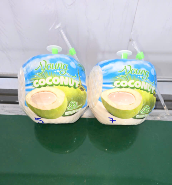 Dừa nắp khoen Cocobete
