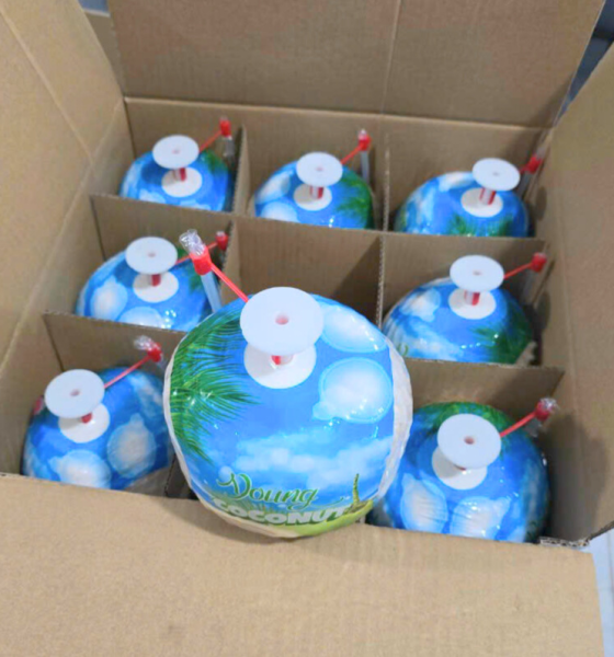 Dừa bật nắp