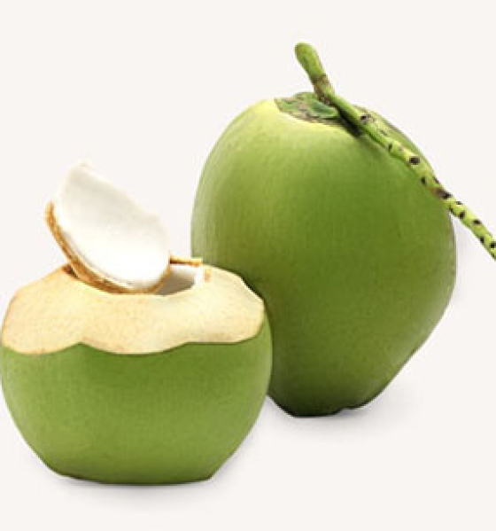 Dừa xiêm nguyên trái